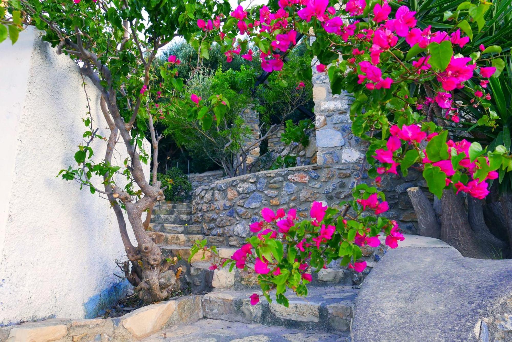 Elegeo Rockhouse Villa Agia Marina  Luaran gambar